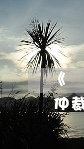 《勞動(dòng)爭議調(diào)解仲裁法》適用于那些情形呢？